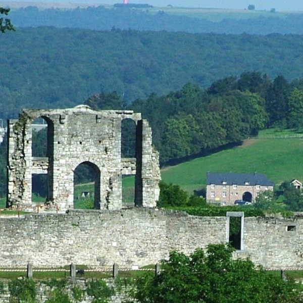 Ruines du château comtal