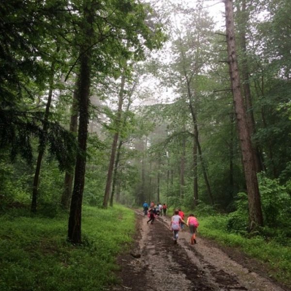 Immersion en forêt