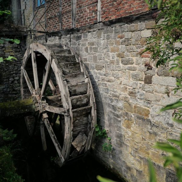 De la graine au pain