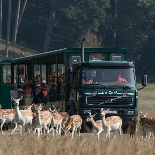 La réserve d'animaux sauvages