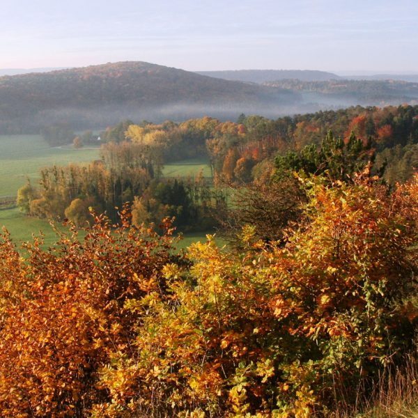 Le sentier du Belvédère